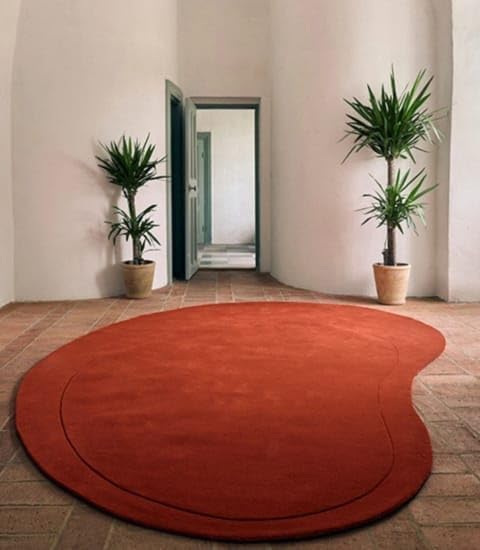 Unique Kidney Shaped Rug - Image 25