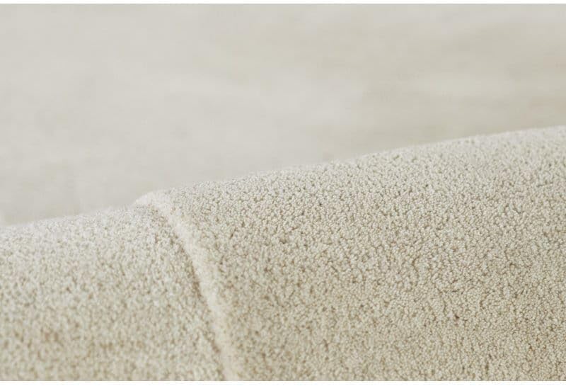 Unique Kidney Shaped Rug - Image 38