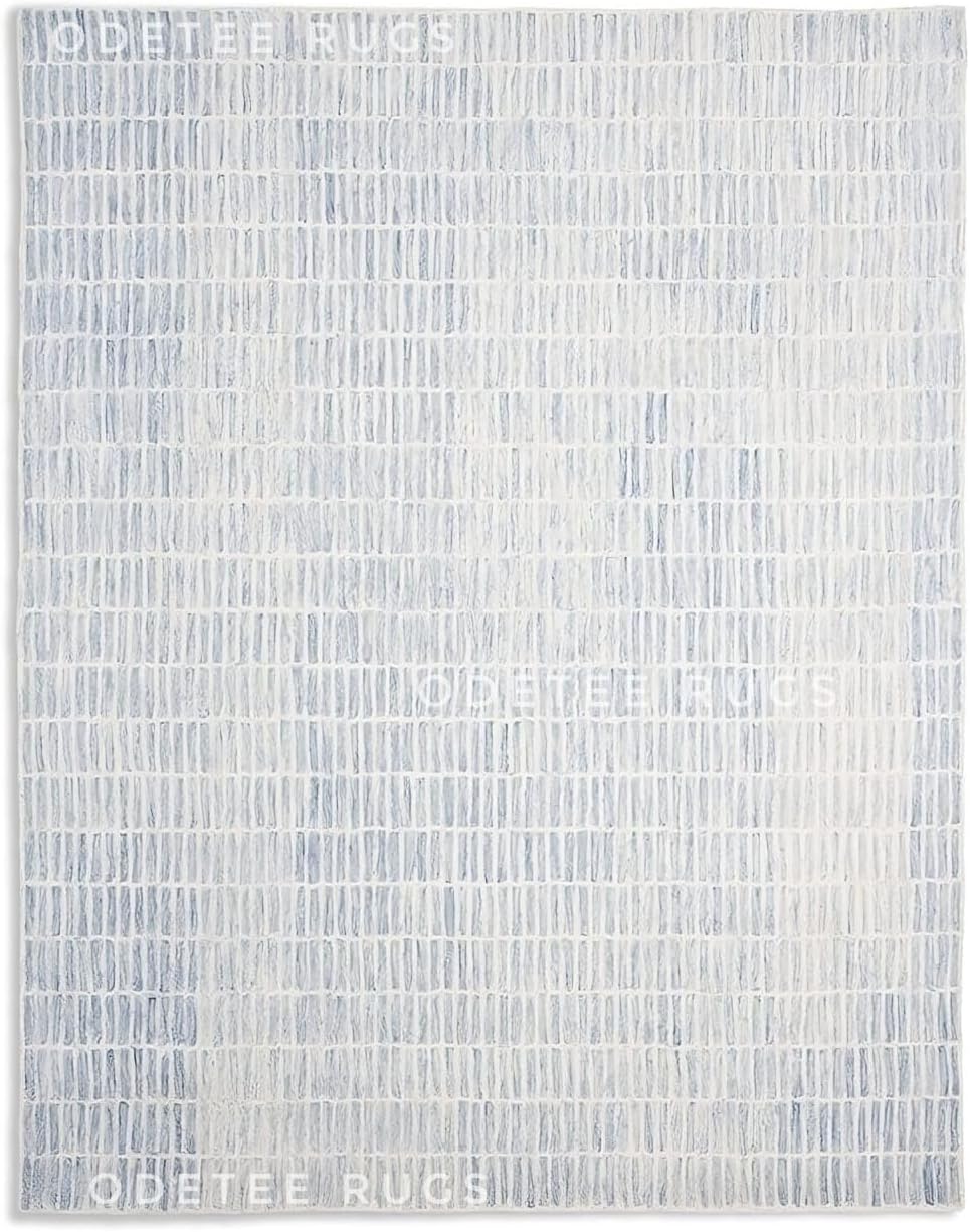 Capitola Space Dyeing Imported Premium Unique Modern Area Rug